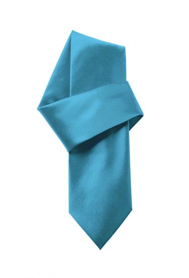 Machine washable woven tie (2479)